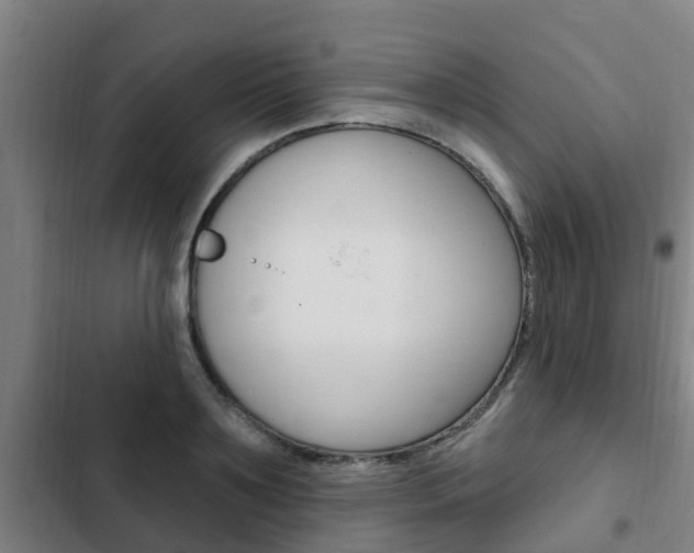 X0000103230891200808280947