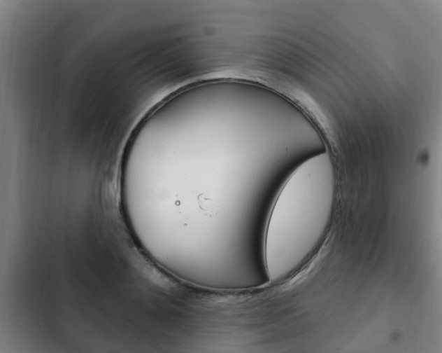 X0000103230892200808280947