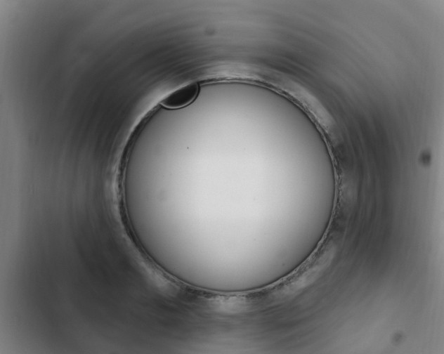 X0000103230893200808280947