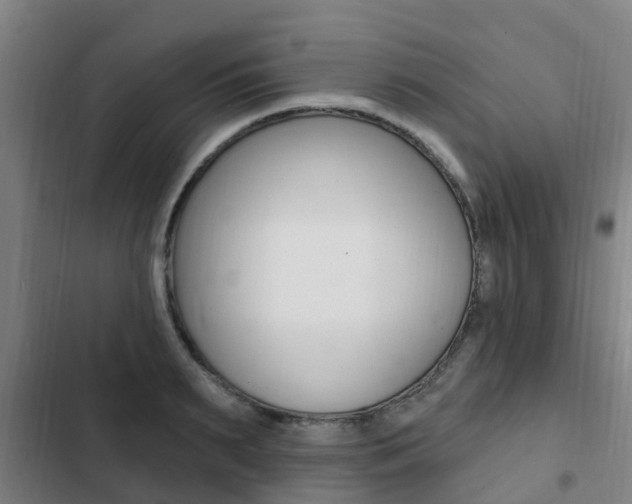 X0000103230895200808280947