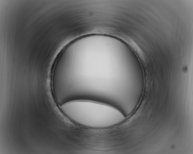 X0000103230896200808280947