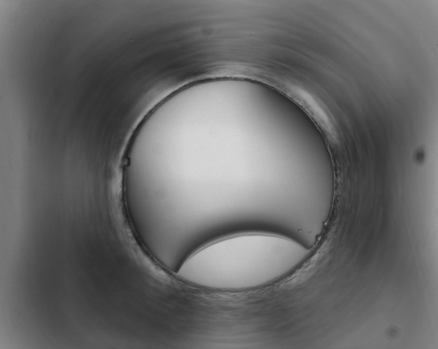 X0000103230900200808280947