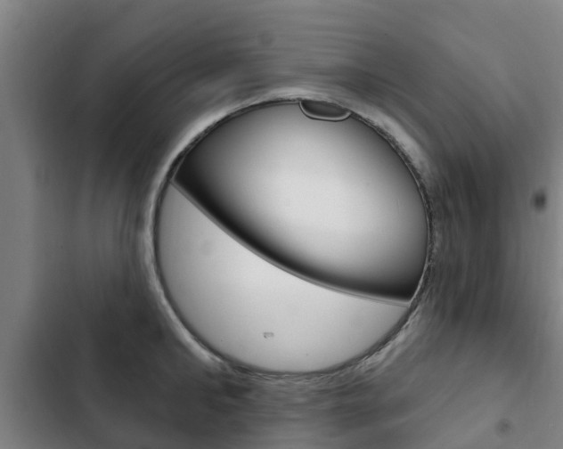 X0000103230902200808280947