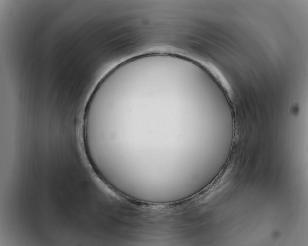 X0000103230903200808280947