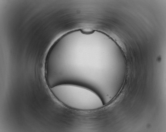 X0000103230904200808280947