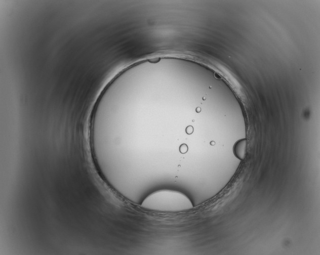 X0000103230907200808280947