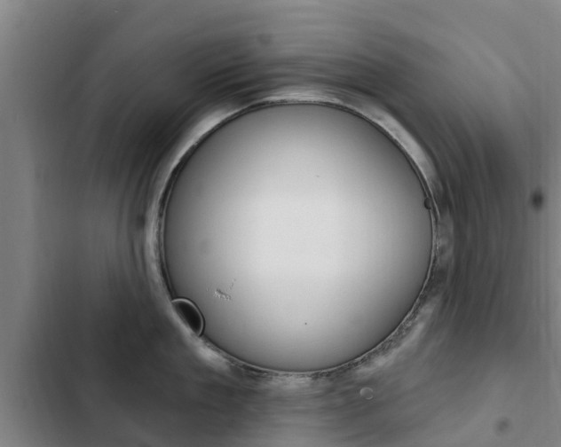 X0000103230909200808280947