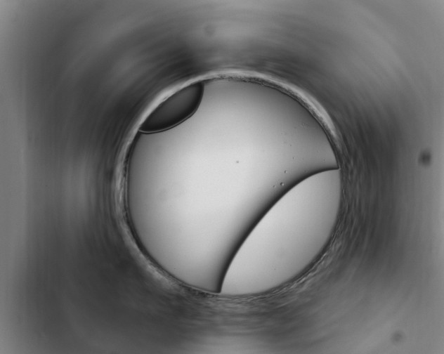 X0000103230911200808280947