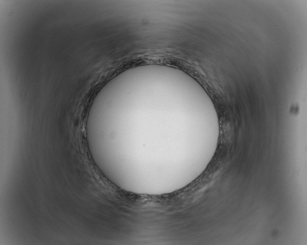 X0000103230913200808280946