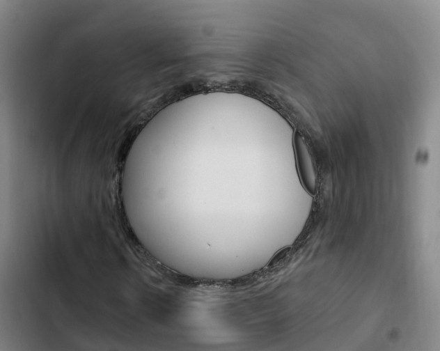 X0000103230914200808280946