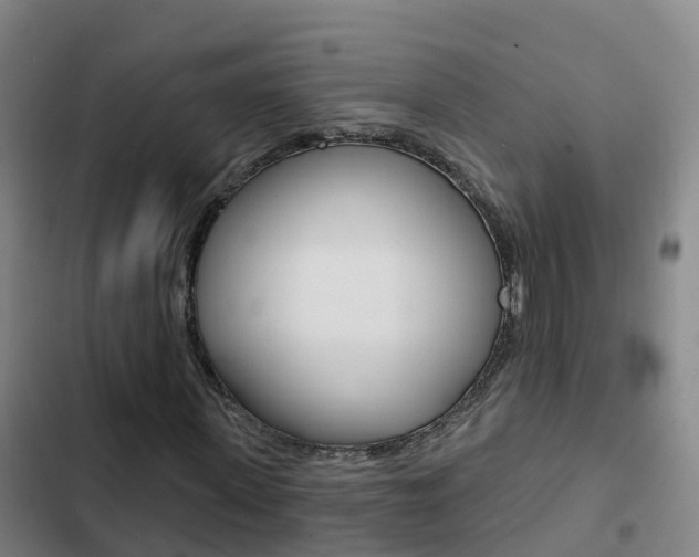 X0000103230915200808280946