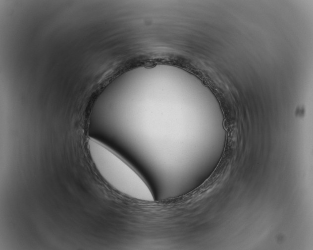 X0000103230916200808280946