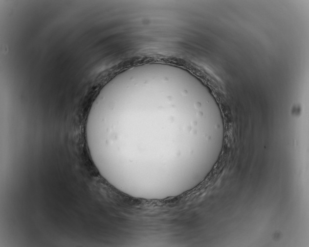 X0000103230917200808280946