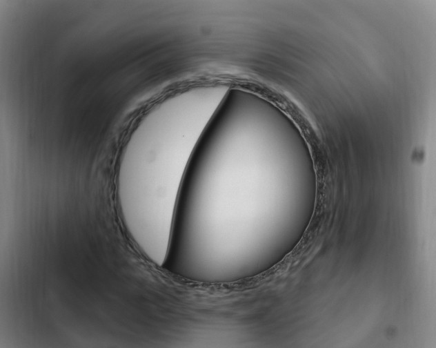 X0000103230919200808280946