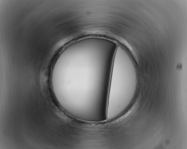 X0000103230922200808280946