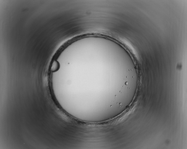 X0000103230924200808280946