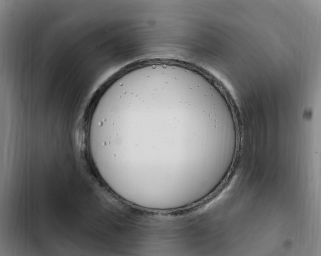 X0000103230925200808280946