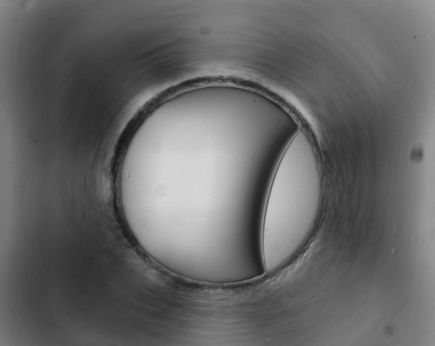 X0000103230927200808280946