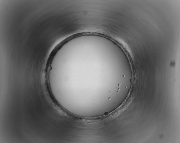X0000103230928200808280946