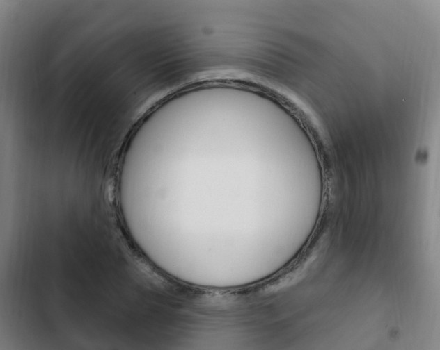 X0000103230929200808280946