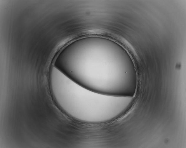 X0000103230930200808280946