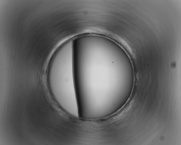 X0000103230931200808280946