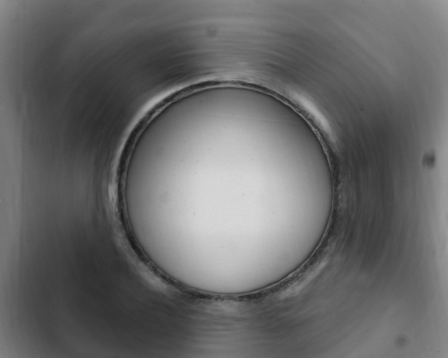 X0000103230932200808280946