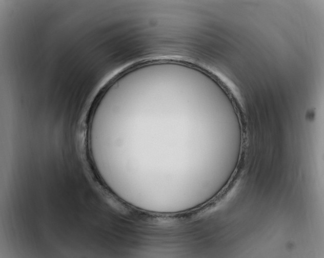 X0000103230933200808280946