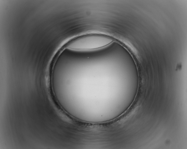 X0000103230934200808280946