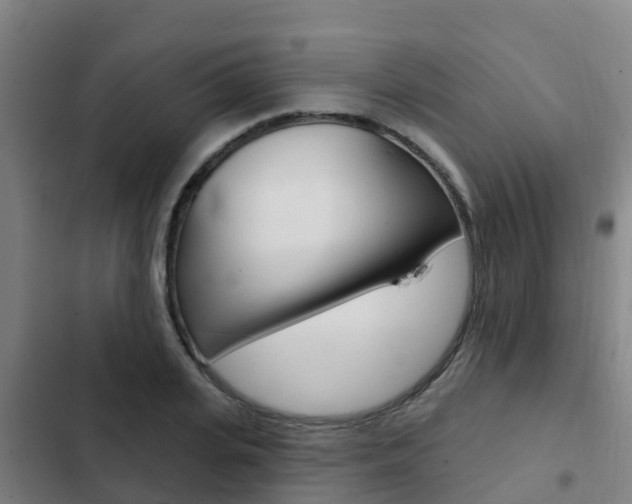 X0000103230935200808280946