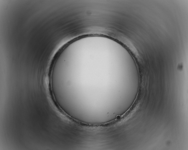X0000103230936200808280946
