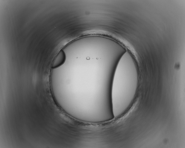 X0000103230937200808280946
