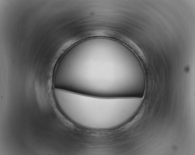 X0000103230938200808280946