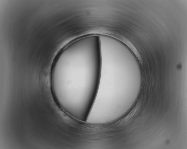 X0000103230939200808280946
