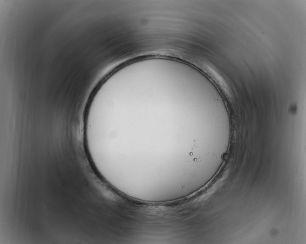 X0000103230940200808280946