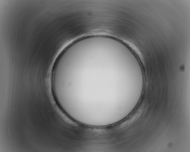 X0000103230941200808280946