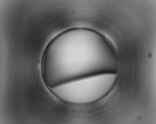 X0000103230943200808280946