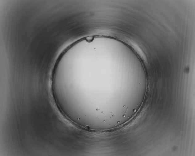 X0000103230944200808280946
