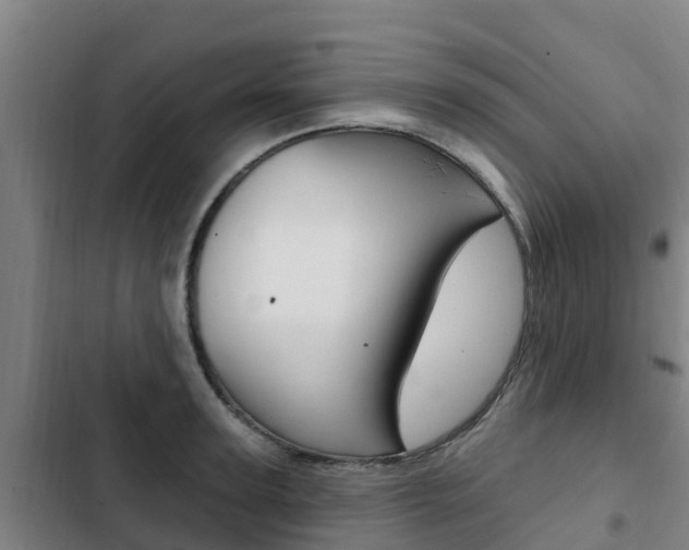 X0000103230947200808280946