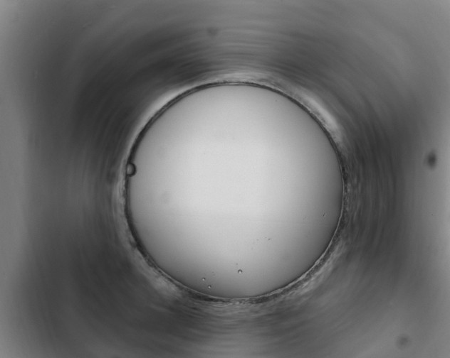 X0000103230948200808280946