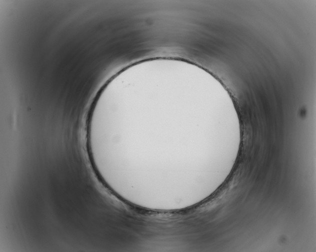 X0000103230950200808280946