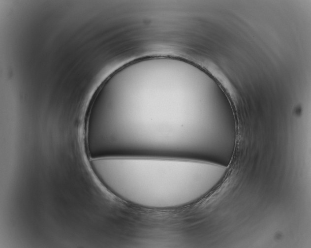 X0000103230951200808280946