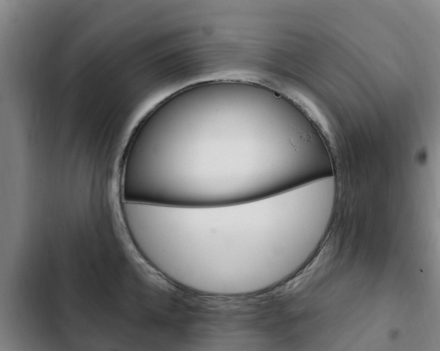 X0000103230952200808280946