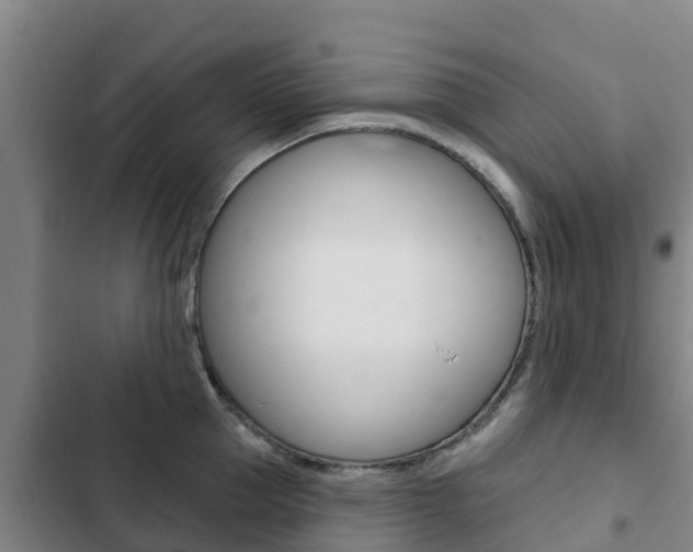 X0000103230953200808280947