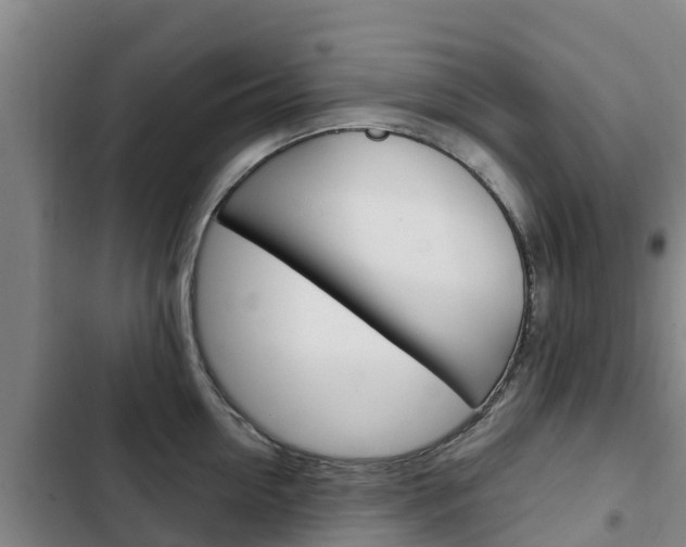 X0000103230954200808280947