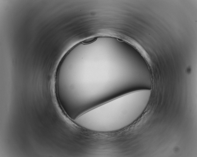 X0000103230955200808280947