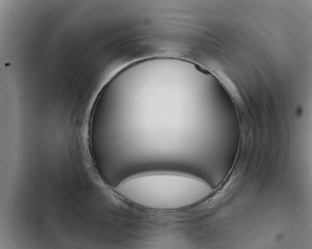 X0000103230956200808280947