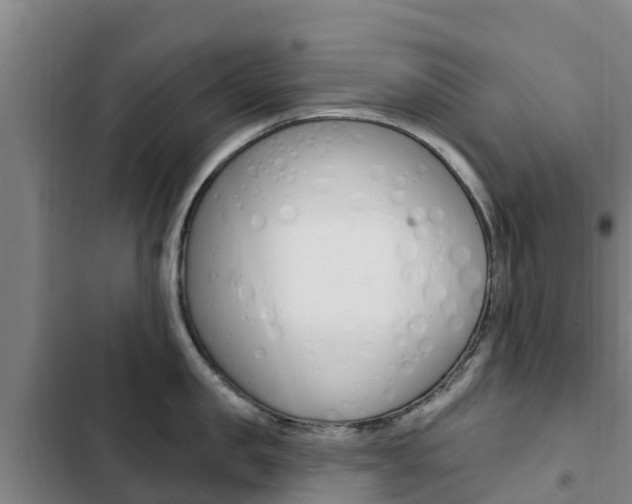 X0000103230957200808280947
