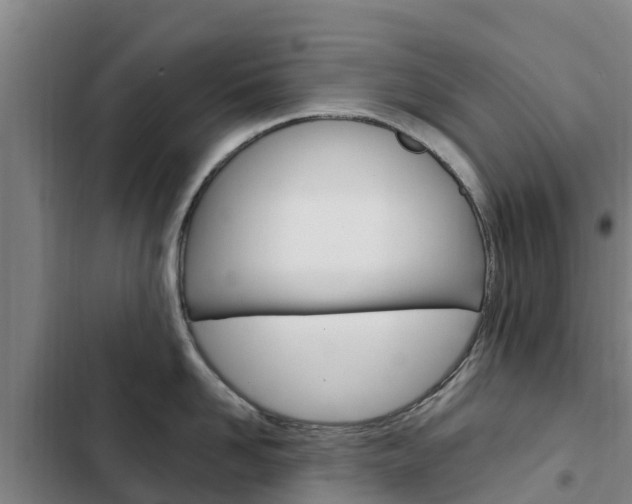 X0000103230958200808280947