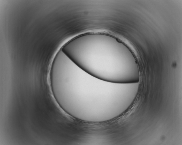 X0000103230959200808280947